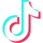 TikTok Icon